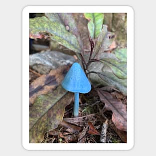 Blue  mushroom Sticker